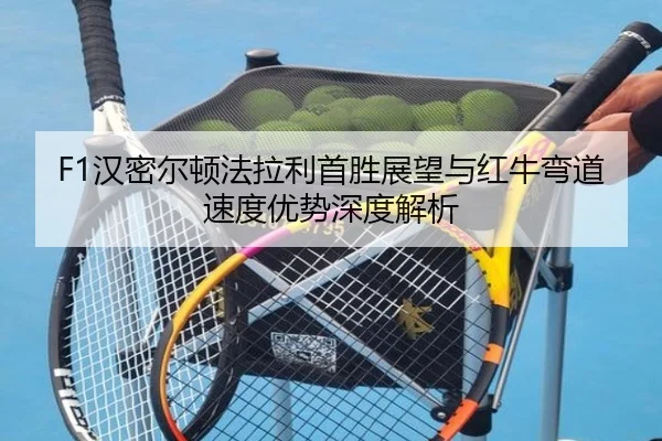 han-mi-er-dun-fa-la-li-shou-sheng-zhan-wang-yu-hong-niu-wan-dao-su-du-you-shi-shen-du-jie-xi-3-252.jpg