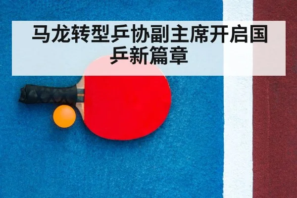 table tennis racket